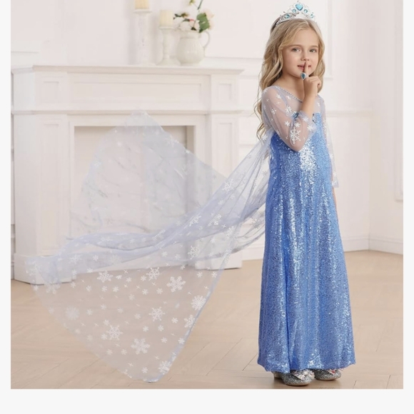 Elsa costume 2T-3T - Picture 2 of 5